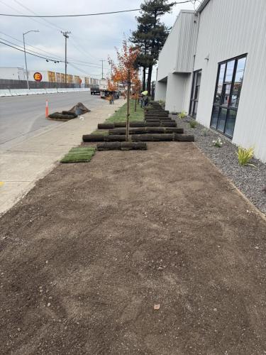 3B5FD287-2EDC-4759-BA52-22D38ABF606F