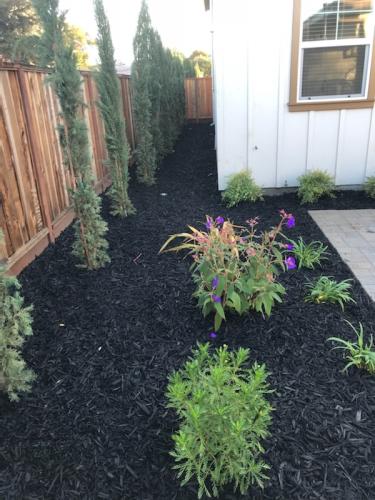 96B38E07-DF79-472C-9697-283F919060F1