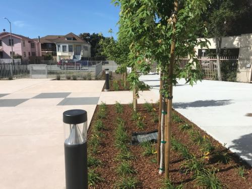 A1973A8A-28DC-47C8-91F9-E086F41F783E